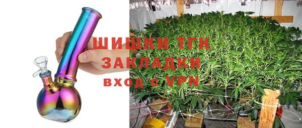 винт Горняк
