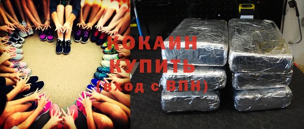 амф Гусев