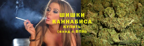 амф Гусев