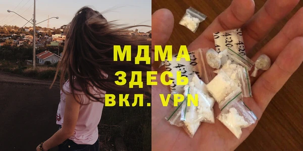 амф Гусев