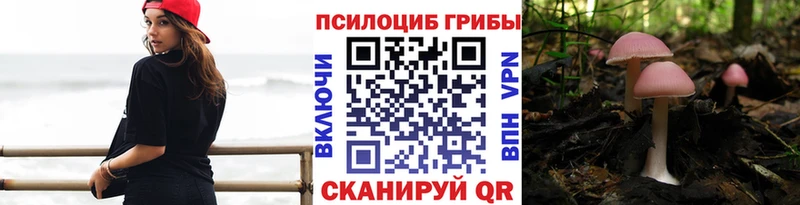 Галлюциногенные грибы MAGIC MUSHROOMS Ельня