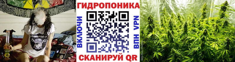 МАРИХУАНА конопля  Ельня 